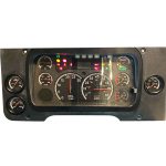 2010 FREIGHTLINER M2 INSTRUMENT CLUSTER