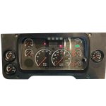 2010 FREIGHTLINER M2 INSTRUMENT CLUSTER