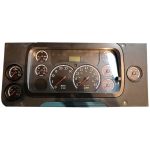 2010 FREIGHTLINER M2 INSTRUMENT CLUSTER