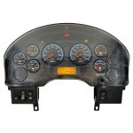 2010 INTERNATIONAL NAV PB105 INSTRUMENT CLUSTER