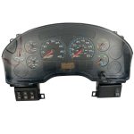 2007 INTERNATIONAL PB105 INSTRUMENT CLUSTER