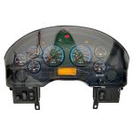 2010 INTERNATIONAL  INSTRUMENT CLUSTER