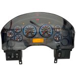 2010 INTERNATIONAL  INSTRUMENT CLUSTER