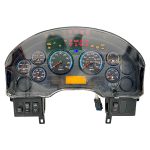 2010 INTERNATIONAL  INSTRUMENT CLUSTER