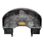 2010 INTERNATIONAL NAV PB105 INSTRUMENT CLUSTER