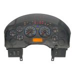 2010 INTERNATIONAL NAV INSTRUMENT CLUSTER