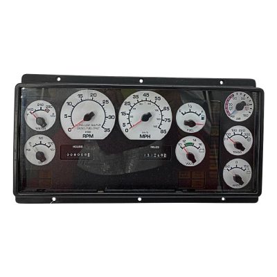 2009 INTERNATIONAL PB305 INSTRUMENT CLUSTER