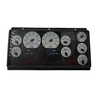 2009 INTERNATIONAL PB305 INSTRUMENT CLUSTER