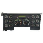 2006-2007 FREIGHTLINER COLUMBIA 120 INSTRUMENT CLUSTER